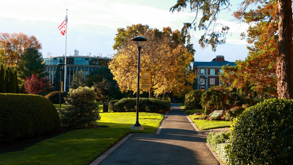 Shot of Adelphi Campus path surrounded by trees and buildings in the fall as the leaves change color.