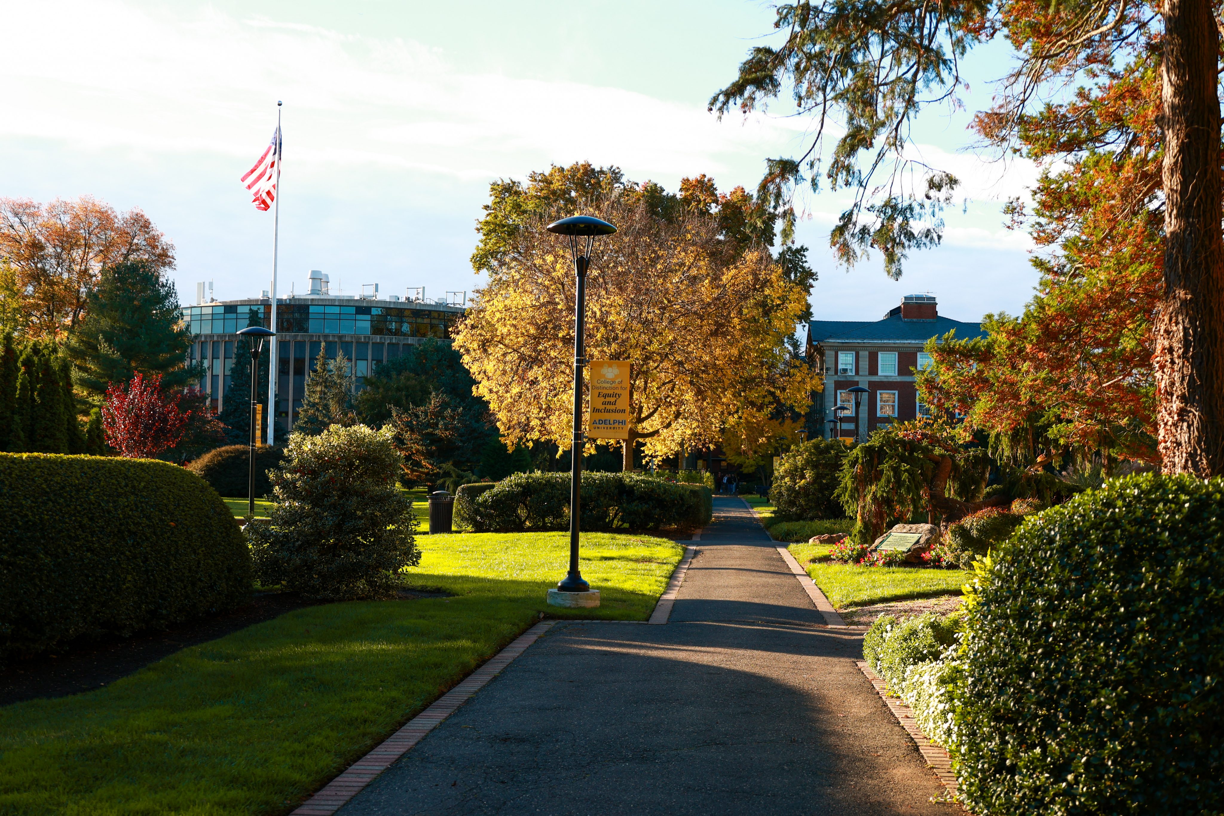 Adelphi Earns Global Recognition for Education, Psychology and Social  Sciences | Adelphi University