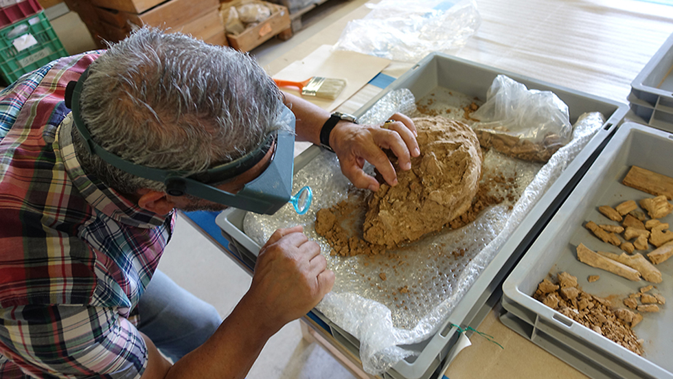 A close-up photo of Professor Anagnostis Agelarakis, PhD, taken from over his shoulder, as he examines an archaeological artifact in his lab. He is wearing a headset with a magnifier that gives him a close look at the artifact, which is in a container and is covered in soil. Another container contains archaeological objects that have been separated from the soil.