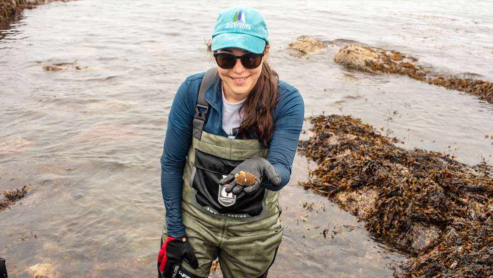 Woman wearing protective coveralls stands in the water. She is holding a starfish in her hand.