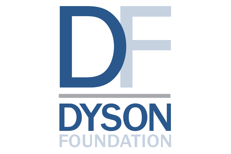 Dyson Foundation