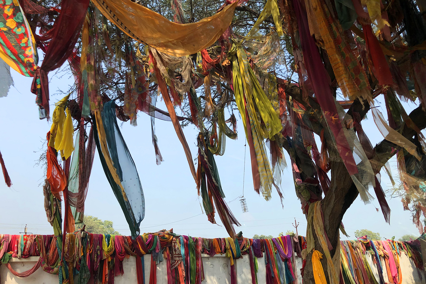Many colorful cloths appear to be hanging from trees.