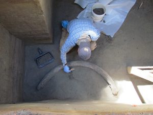 An overhead view of a man from the back in a blue-and-white shirt brushing off an archaeological artifact.