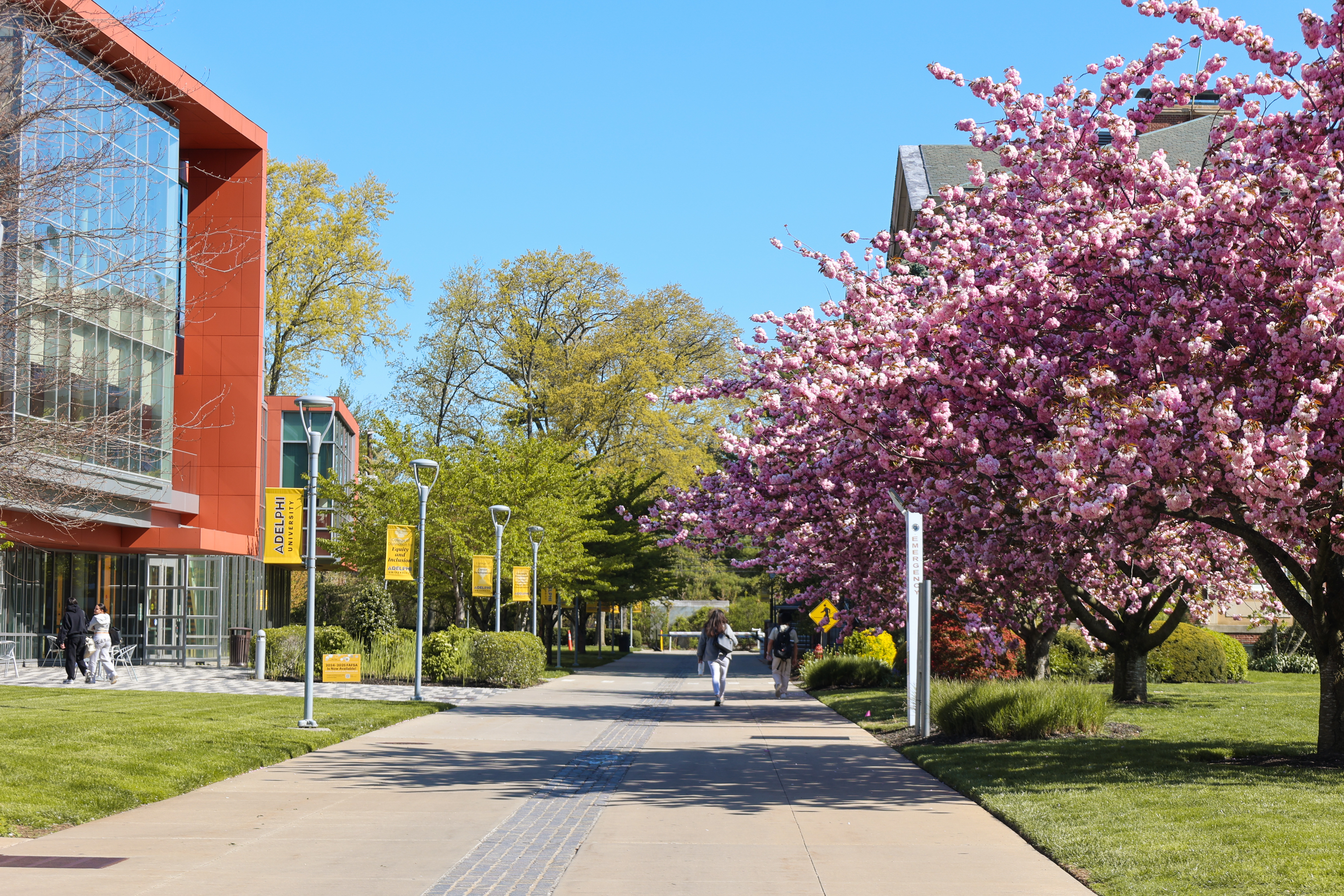 A pedestrian walkway lined with banners and flowering trees on a sunny day with a modern building on the left and people walking in the background