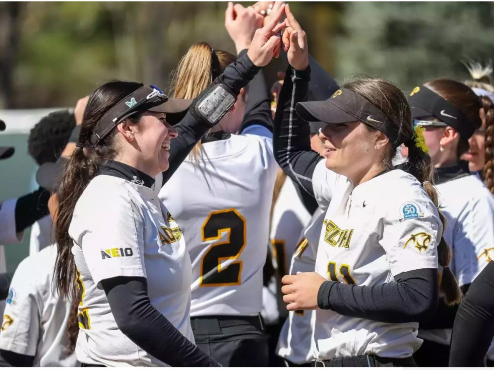 Softball players high fiving on the field