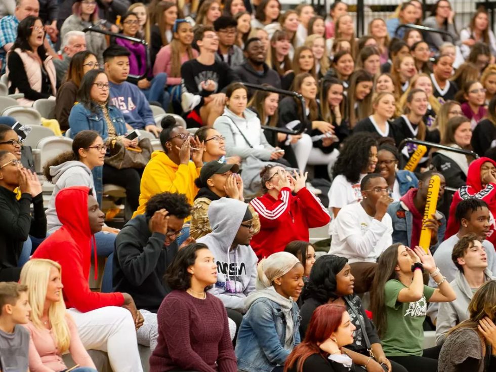 Fans in the crowd at a basketball game