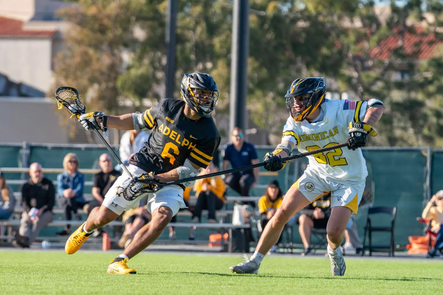 Two lacrosse players battle it out with their sticks. Rising senior Kyle Lewis is on left; opposing teammate from Dominican University of New York on the right.
