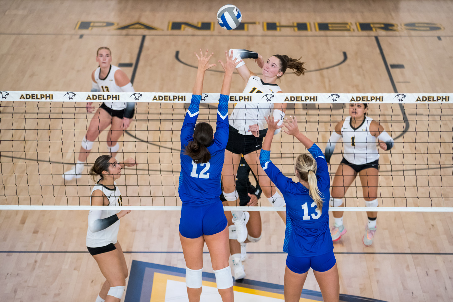 Adelphi's volleyball team scrambles at the net, as one player jumps high to return a shot.