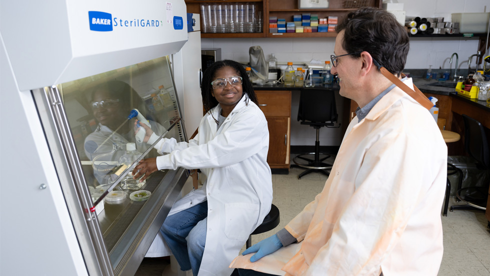 A female student wearing lab gear works with petri dishes while a professor observes