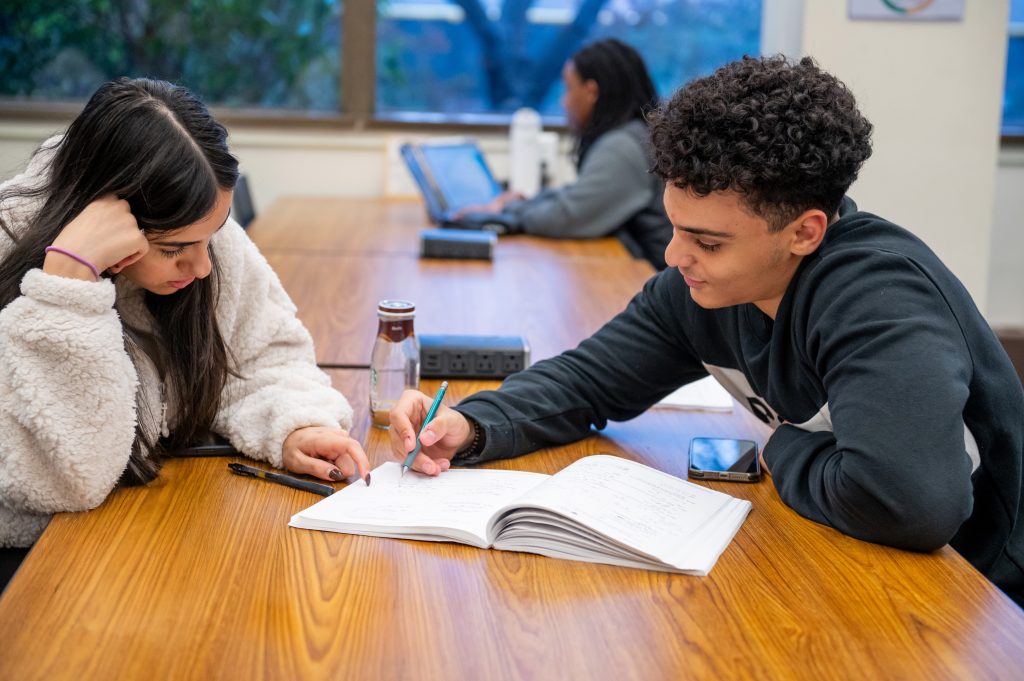 Two Adelphi students study in the Swirbul Library