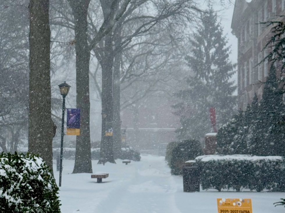 Adelphi winter campus: Snowing near Blodgett Hall