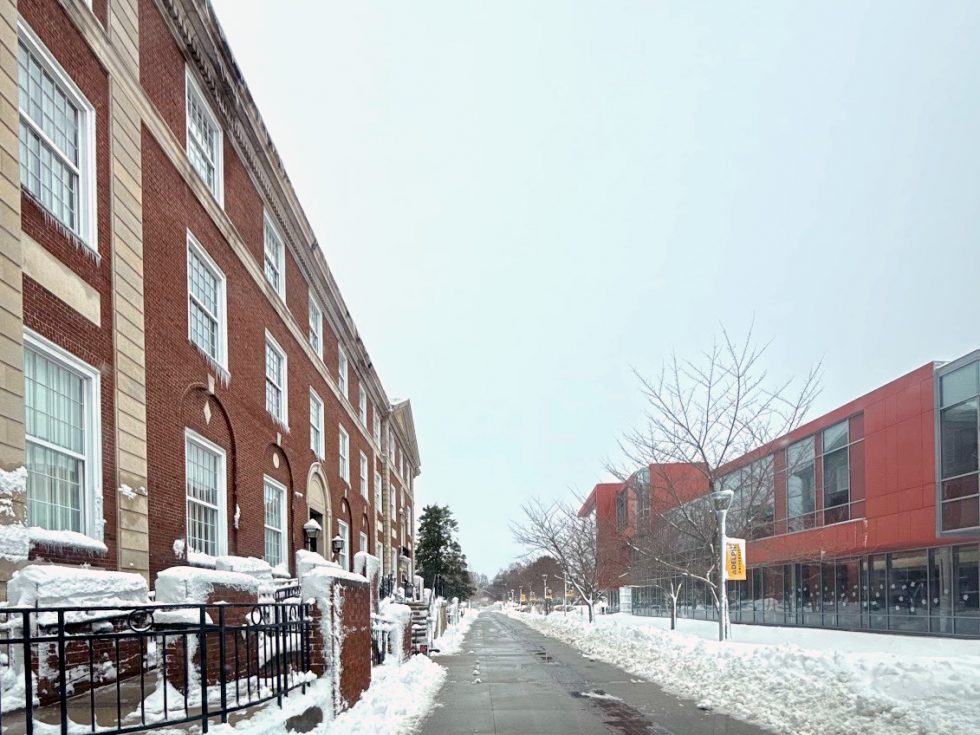 Adelphi winter campus: Snowing near Levermore Hall and Nexus Building