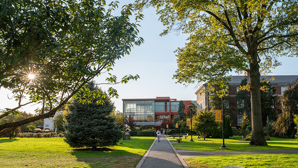 We see a path leading to Swirl Library on the Adelphi campus. There are large trees along each side of the path.