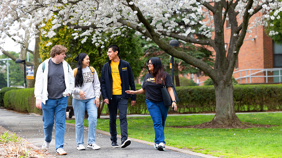 Four college students are walking and chatting together along a paved campus path. They are dressed in casual attire, including sweatshirts and jackets featuring Adelphi University branding.