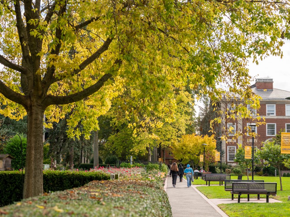 Students walk along a tree-lined campus path at Adelphi University in autumn, with yellow and green foliage overhead, flower beds to the left, and a brick academic building with Adelphi University banners in the background.