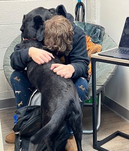 A student in a chair is hugging a black dog.