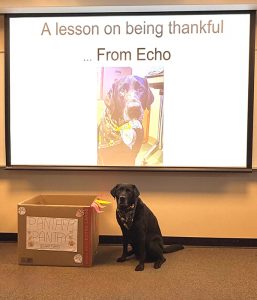 A black dog sits beside a collection box of the Panther Pantry. A sign above her says, A lesson on being thankful from Echo.