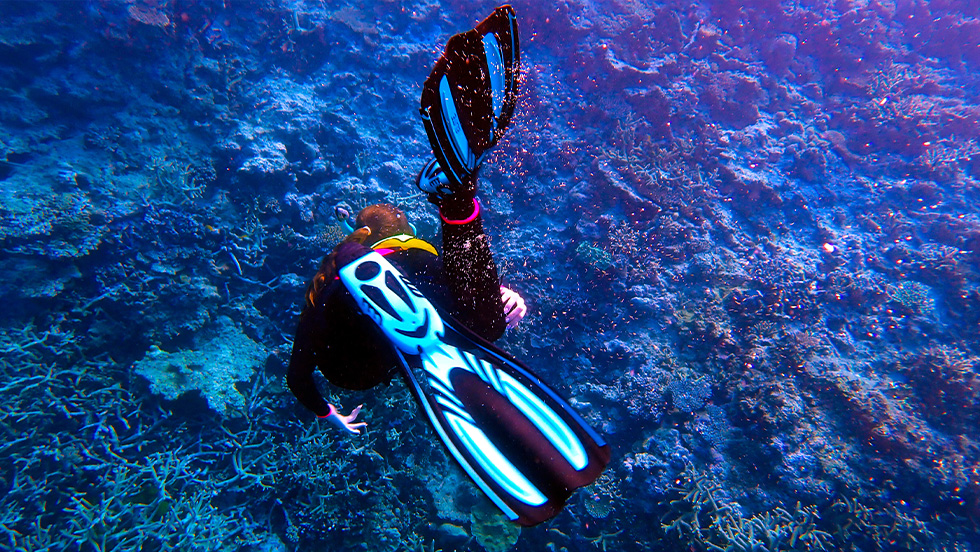 Surrounded by deep blue ocean, a student scuba diver looks down at the coral below.