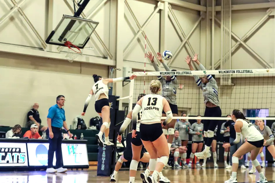 Madeleine Chaapel put up a career-high 25 kills to lead the Adelphi University volleyball team to a four-set victory Saturday afternoon. The win pushes the Panthers' winning streak to five games and brings their record to 6-6.