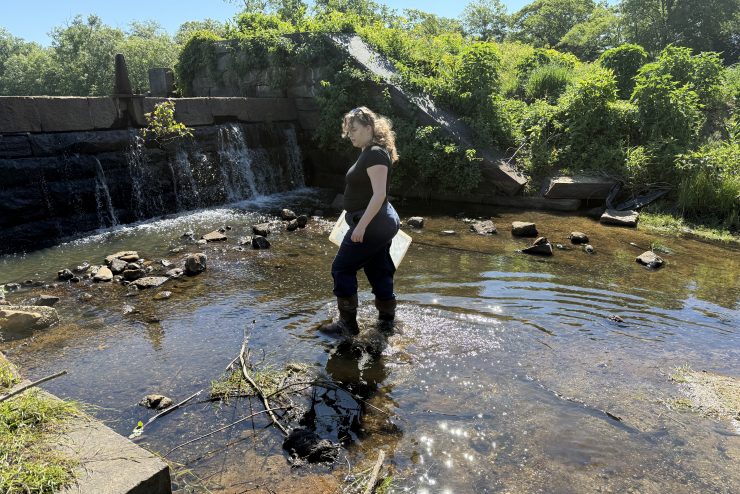 An aerial view of a person in dark clothing wading in a shallow concrete drainage channel near a culvert outflow, collecting samples in a bin, with a residential building and chain-link fence in the background.