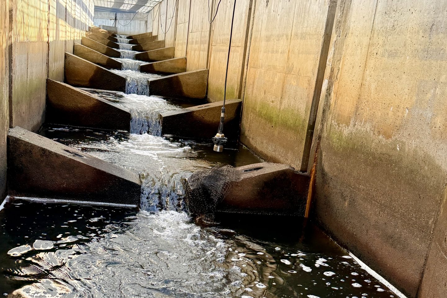 A concrete fish ladder/weir structure with a series of stepped pools where water cascades down, foam and bubbles visible on the water's surface, with a sensor or probe hanging into the channel.