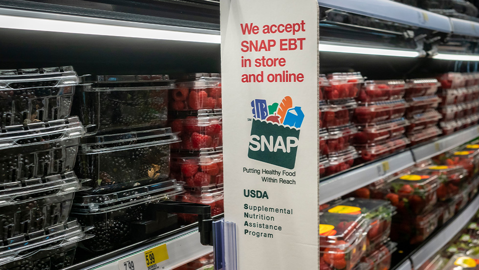 A grocery store refrigerated case stocked with clamshell containers of blackberries and raspberries, with a vertical sign reading "We accept SNAP EBT in store and online."